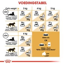 Royal Canin Sphynx 33 - Kattenvoer - 10kg -Huisdierbenodigdheden Winkel 29928a8be3d06a44d946ef033ca054e9e16c4cc635ad93e245cceaa6367db813 1