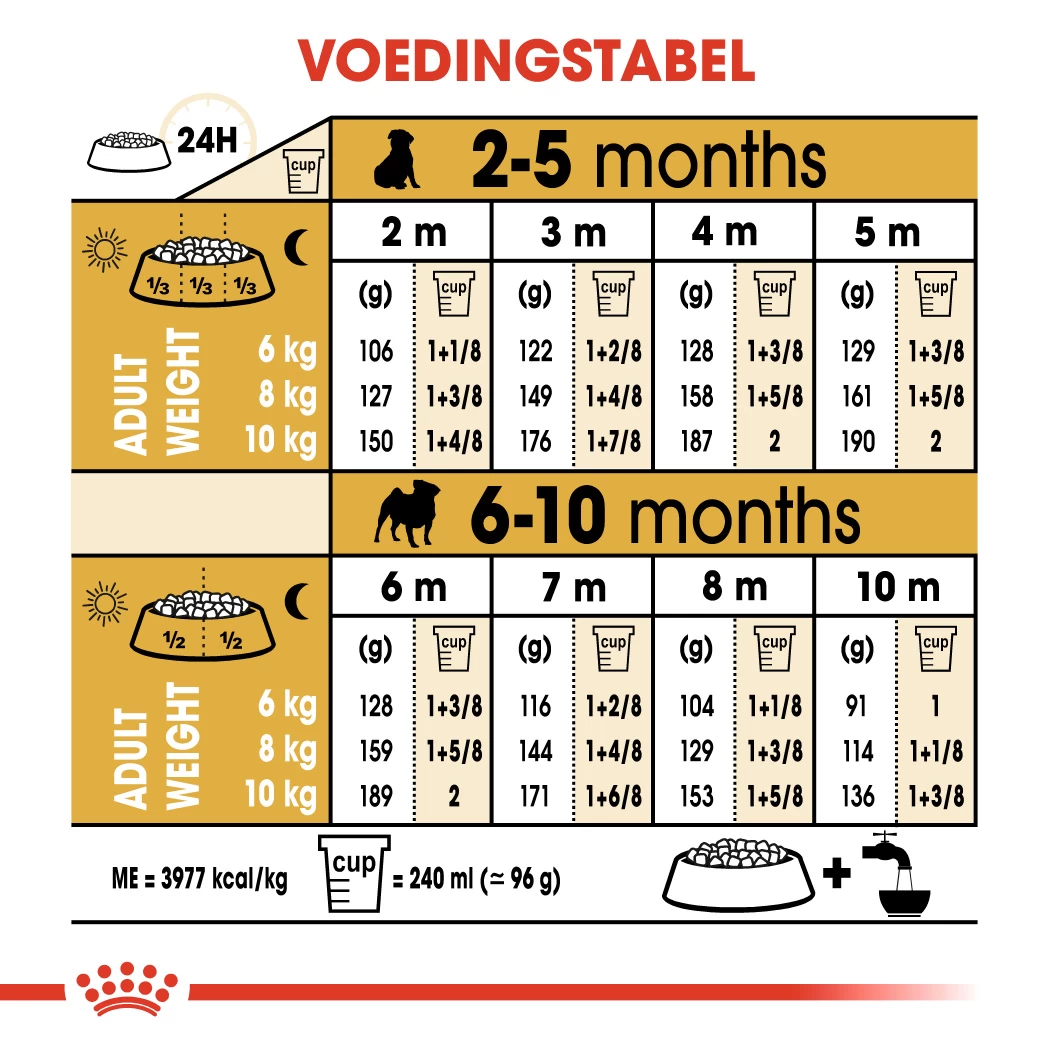 Royal Canin Pug/Mopshond Puppy - Hondenvoer - 1,5kg 2 Royal Canin Pug/Mopshond Puppy - Hondenvoer - 1,5kg - Afbeelding 2