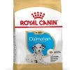Royal Canin Dalmatian/Dalmatiër Puppy - Hondenvoer - 12kg