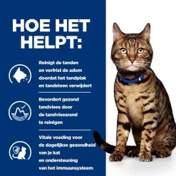 Hill's Hill’s Prescription Diet T/D – Kattenvoer Met Kip – 1,5kg -Huisdierbenodigdheden Winkel 52742041995 3 NL