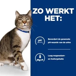 Hill's Hill’s Prescription Diet S/D – Kattenvoer Met Kip – 1,5kg -Huisdierbenodigdheden Winkel 52742042473 2 NL