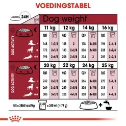 Royal Canin Medium Ageing 10+ Hondenvoer 10x 140g 5 Royal Canin Medium Ageing 10+ Hondenvoer 10x 140g -Huisdierbenodigdheden Winkel 658cd0070fe8656d49127926637c4755119021204d9a36ef53ccdb1c5650d350 1