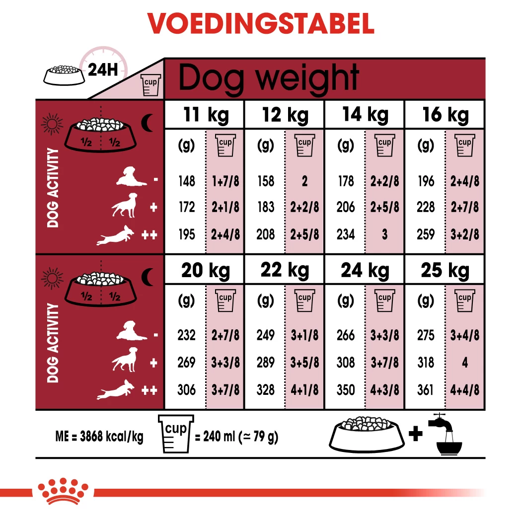 Royal Canin Medium Ageing 10+ Hondenvoer 10x 140g 3 Royal Canin Medium Ageing 10+ Hondenvoer 10x 140g - Afbeelding 3