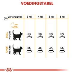 Royal Canin Hair & Skin Care Kattenvoer 4kg -Huisdierbenodigdheden Winkel 6cd71a60ba99f8570764bedbf54b2943681113398a4dc2074f443d0e11a6fff9 2