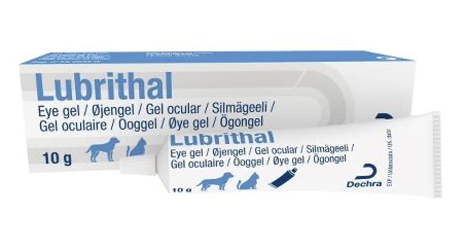 DECHRA Lubrithal Ooggel - 10g 1 DECHRA Lubrithal Ooggel - 10g