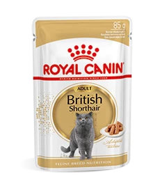 Royal Canin British Shorthair Adult Natvoer Kat 12x 85g