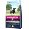 Eukanuba Junior Large Breeds - Hondenvoer Met Kip - 15kg