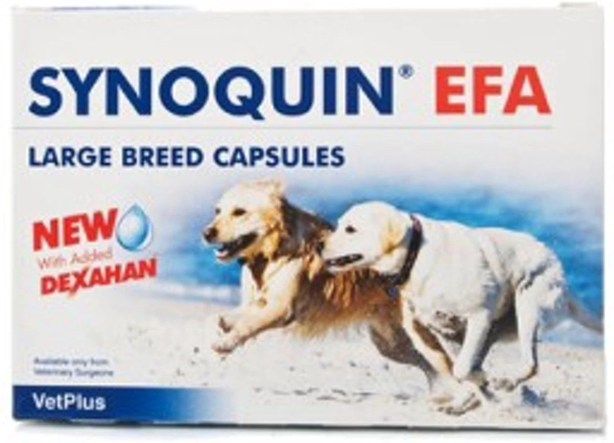Synoquin Efa Large Breed 4X30caps 1 Synoquin Efa Large Breed 4X30caps