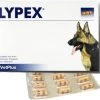 Lypex Hond-kat Caps 60