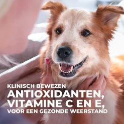 Hill's Science Plan Hypoallergenic Medium Hond Met Zalm 14kg -Huisdierbenodigdheden Winkel Hills Science Plan Hypoallergenic Medium Hond 7 NL