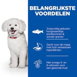 Hill's Science Plan Hypoallergenic Small & Mini Hond Met Zalm 6kg -Huisdierbenodigdheden Winkel Hills Science Plan Hypoallergenic Small Mini Hond 2 NL