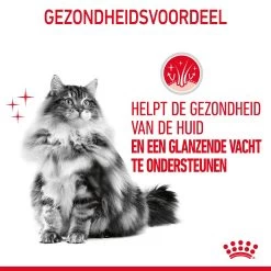 Royal Canin Hair & Skin Care Natvoer In Gravy Kattenvoer 12x85g -Huisdierbenodigdheden Winkel Royal Canin Hair Skin Care Gravy Kat NL 08