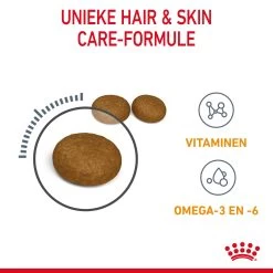 Royal Canin Hair & Skin Care Kattenvoer 10kg -Huisdierbenodigdheden Winkel Royal Canin Hair Skin Care Kat NL 05 1