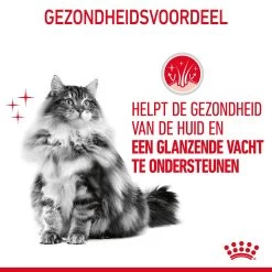 Royal Canin Hair & Skin Care Kattenvoer 10kg -Huisdierbenodigdheden Winkel Royal Canin Hair Skin Care Kat NL 07 1