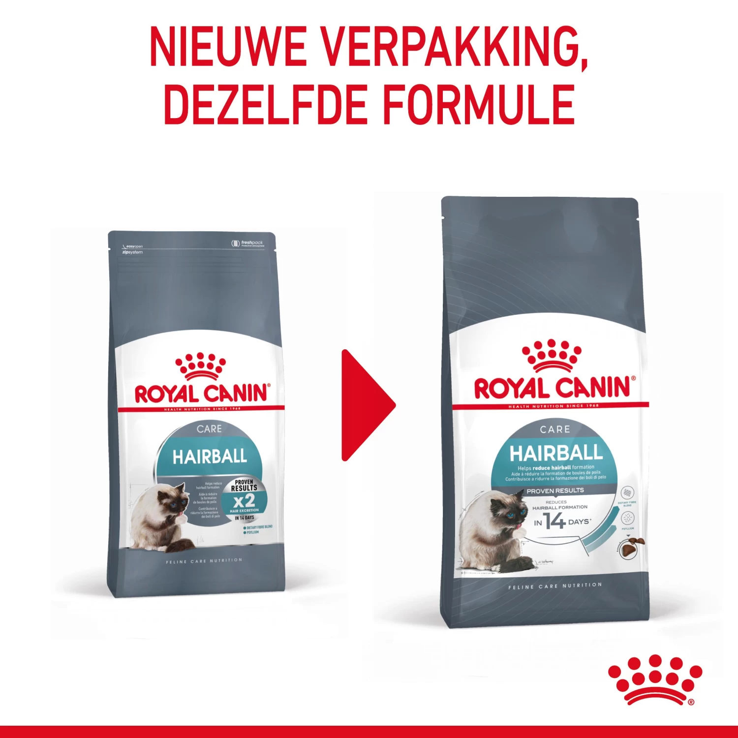 Royal Canin Hairball Care Kattenvoer 2kg 3 Royal Canin Hairball Care Kattenvoer 2kg - Afbeelding 3
