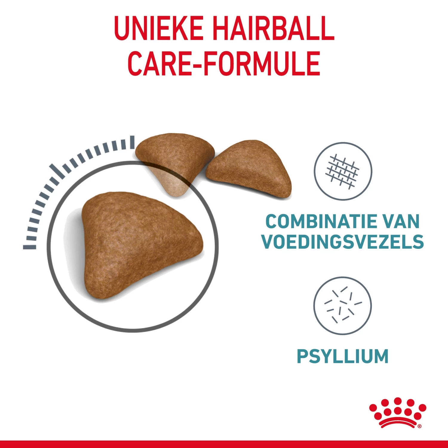 Royal Canin Hairball Care Kattenvoer 2kg 5 Royal Canin Hairball Care Kattenvoer 2kg - Afbeelding 5