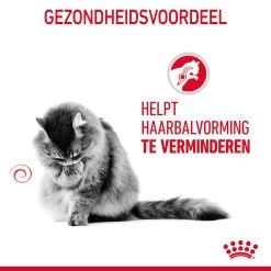 Royal Canin Hairball Care Kattenvoer 2kg 18 Royal Canin Hairball Care Kattenvoer 2kg -Huisdierbenodigdheden Winkel Royal Canin Hairball Care Kat NL 07