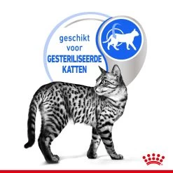 Royal Canin Indoor Sterilised In Jelly Kattenvoer 12x85g -Huisdierbenodigdheden Winkel Royal Canin Indoor Sterilised Jelly Kat NL 4
