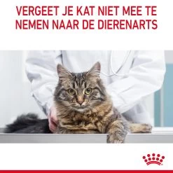 Royal Canin Light Weight Care Natvoer In Jelly Kattenvoer 12x85g 24 Royal Canin Light Weight Care Natvoer In Jelly Kattenvoer 12x85g -Huisdierbenodigdheden Winkel Royal Canin Light Weight Care Jelly Kat NL 13