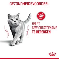 Royal Canin Light Weight Care Kattenvoer 8kg -Huisdierbenodigdheden Winkel Royal Canin Light Weight Care Kat NL 07 1