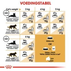 Royal Canin Persian 30 - Kattenvoer - 2kg 11 Royal Canin Persian 30 - Kattenvoer - 2kg -Huisdierbenodigdheden Winkel Royal Canin Persian NL 7 Dosage
