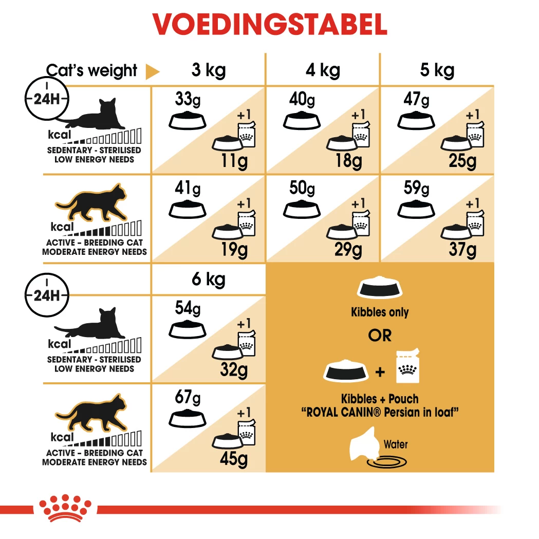 Royal Canin Persian 30 - Kattenvoer - 2kg 6 Royal Canin Persian 30 - Kattenvoer - 2kg - Afbeelding 6