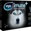 VIYO IMUNE+ Pack Hond 14 Zakjes