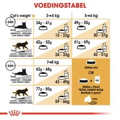 Royal Canin British Shorthair 34 - Kattenvoer - 4kg -Huisdierbenodigdheden Winkel a4363570baf82f21217761fdd4296e3ab9b6efa1ffe95d74cb854420bb592bb1 3