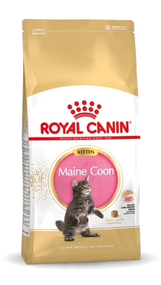 Royal Canin Maine Coon Kitten Kat 10kg