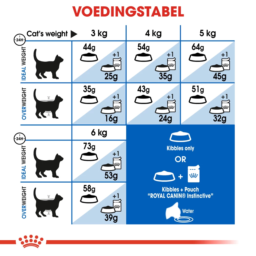 Royal Canin Indoor Long Hair Kattenvoer 2kg 3 Royal Canin Indoor Long Hair Kattenvoer 2kg - Afbeelding 3