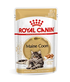 Royal Canin Maine Coon Adult Natvoer Kat 48x 85g