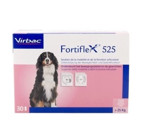 Fortiflex 525 - 300 Tabletten 1 Fortiflex 525 - 300 Tabletten