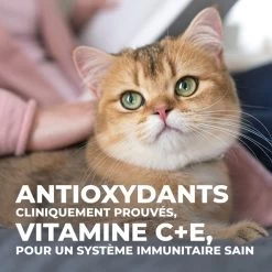 Hill's Science Plan Mature Adult Sterilised - Kip - 3kg -Huisdierbenodigdheden Winkel fe02ed3199eab2ce4c93fb61c16c60cab879f5afa39a348354424fd00d9ede0f