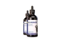 Kaminox 60ml