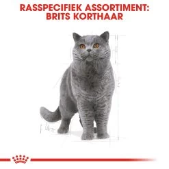 Royal Canin British Shorthair 34 - Kattenvoer - 4kg -Huisdierbenodigdheden Winkel rc fbn britishsh cv eretailkit 1 nl nl 1