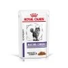 Royal Canin Mature Consult Cat - 12x85g