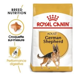 Royal Canin German Shepherd/Duitse Herder Adult - Hondenvoer - 11kg -Huisdierbenodigdheden Winkel royal canin berger allemand adult german shepherd berger allemand adulte german shepherd 1