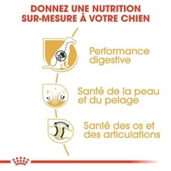 Royal Canin German Shepherd/Duitse Herder Adult - Hondenvoer - 11kg -Huisdierbenodigdheden Winkel royal canin berger allemand adult german shepherd berger allemand adulte german shepherd 2