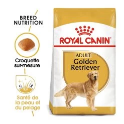 Royal Canin Golden Retriever Adult - Hondenvoer - 12kg -Huisdierbenodigdheden Winkel royal canin golden retriever adult croquettes pour chien golden retriever 1