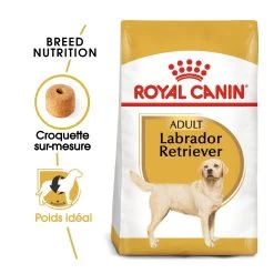 Royal Canin Labrador Retriever Adult - Hondenvoer - 12kg -Huisdierbenodigdheden Winkel royal canin labrador retriever adult croquettes pour chien labrador retriever adulte 1