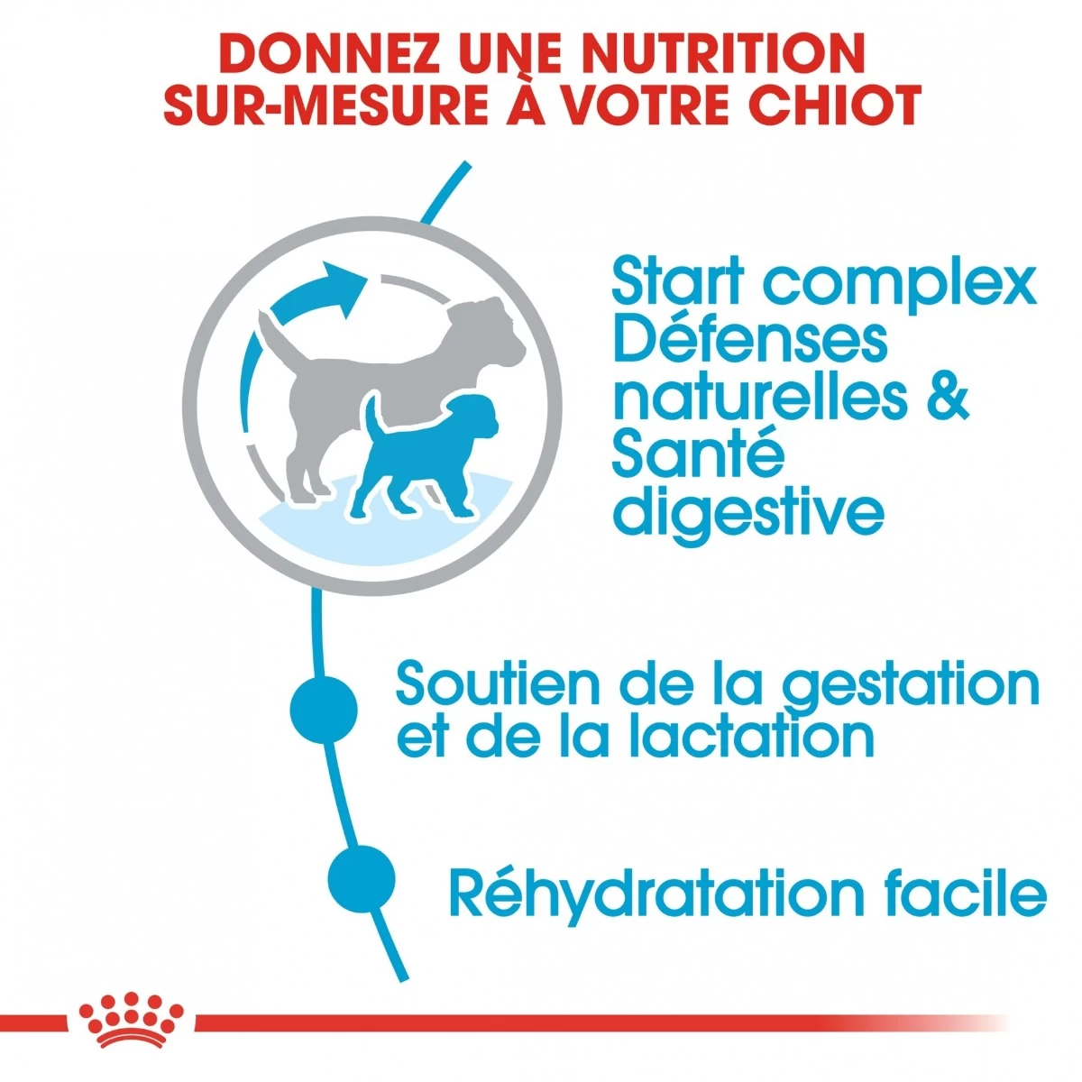 Royal Canin Mini Starter Mother & Babydog 8kg 5 Royal Canin Mini Starter Mother & Babydog 8kg - Afbeelding 5