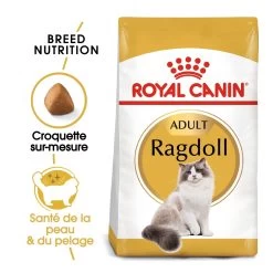 Royal Canin Ragdoll Adult Kat 10kg -Huisdierbenodigdheden Winkel royal canin ragdoll adult ragdoll 1 1