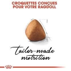 Royal Canin Ragdoll Adult Kat 10kg -Huisdierbenodigdheden Winkel royal canin ragdoll adult ragdoll 3 1