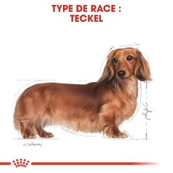 Royal Canin Teckel/Dashond Adult - Hondenvoer - 7,5kg -Huisdierbenodigdheden Winkel royal canin teckel adult dachshund teckel dachshund 3