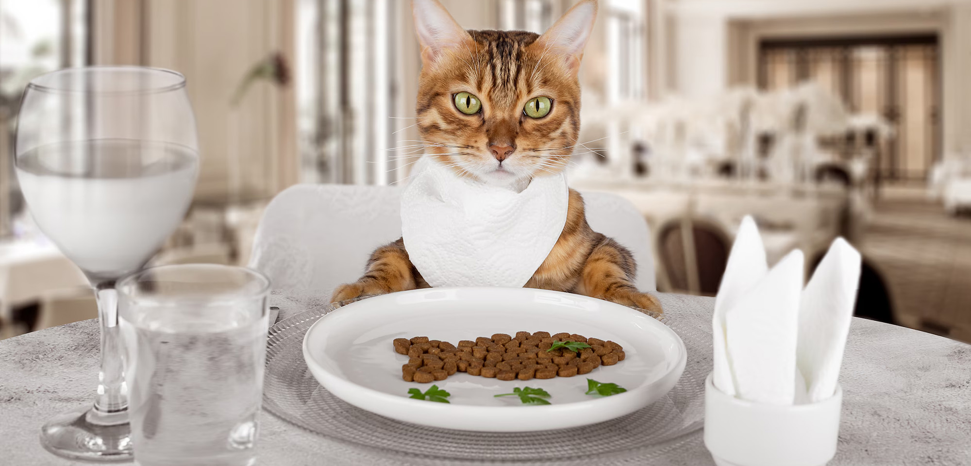 Huisdierbenodigdheden Winkel 3 Huisdierbenodigdheden Winkel -Huisdierbenodigdheden Winkel 1